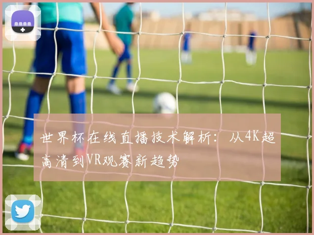 世界杯在线直播技术解析：从4K超高清到VR观赛新趋势