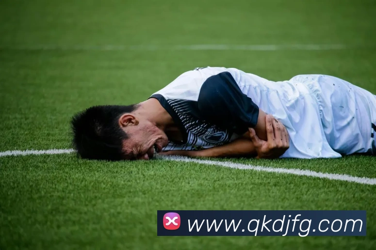 乐鱼官网app登录入口品牌故事